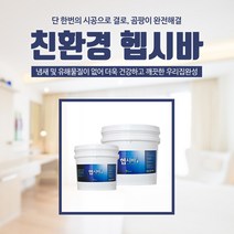 그린파크 헵시바 - 결로 곰팡이 습기 외풍 제거용 친환경페인트, 03.헵시바B 10kg, 1개
