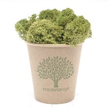 스칸디아모스 11색상! 천연이끼 공기정화!, 15g 스칸디아모스-미디움 그린