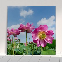 꾸밈 부귀의 상징 연꽃 아크릴액자 ch873, 타입1