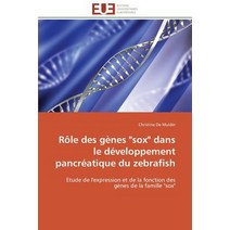 Role Des Genes Sox Dans Le Developpement Pancreatique Du Zebrafish = Rale Des Ga]nes Sox Dans Le Da(c)..., Univ Europeenne