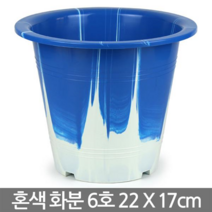 청운 꽃단지 플라스틱 화분 파란화분 꽃화분 대형화분 칼라화분 둥근화분 중형화분 야외화분 베란다화분 거실화분 예쁜화분 가벼운화분, 02_세인_혼색화분(6호)