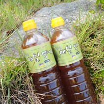 해마을 [3년숙성]무농약매실 하동 매실엑기스, 1개, 1L