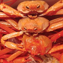산지직송 동해 홍게 붉은대게 조업 입항 당일 생물 자숙(찜), 1박스, 08_홍게 고급형 3kg 6~10마리(찜자숙
