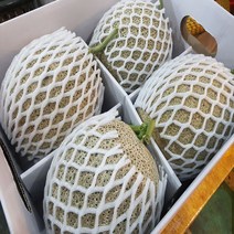 달달과수원 신선하고 맛있는 머스크 메론 7kg내외 한박스 4수 5수 6수 멜론, 6~7kg (4수), 1개