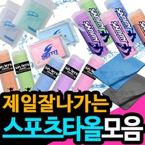 브랜드 스포츠타올 모음전(아레나/후그/아이온등), PPL(퍼플), 05.아이온 습식 스포츠타올 돌핀