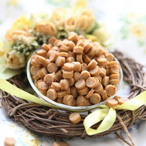 코코밥 피부트러블 없애는 연어사료 수제사료, 1kg