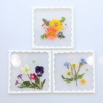 체크스토리 압화아크릴액자만들기 DIY세트 - 압화교구 액자만들기, 2.1인_아크릴(자연풀+안개오렌지)