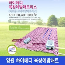 디올메디 하이메디 공기조절기능 욕창예방 욕창방지에어매트리스 AD-1100