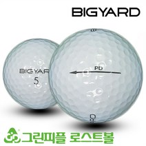 빅야드 뉴 PD 2피스 A-급 로스트볼 16개