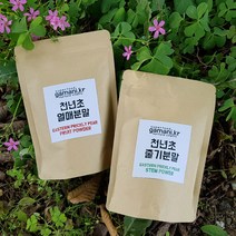 삼정농산 천년초 열매가루, 100g, 2개