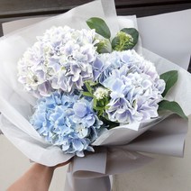 [피오니페페] 수국꽃 블루 파란수국 세송이 여름꽃다발, 반투명그레이