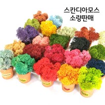스칸디아모스20g 40g 본사직영 정품 스칸디아모스, 모스그린40g