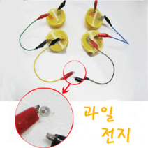 [사이언스몰] 과일전지 만들기 [고휘도 발광다이오드], 과일전지만들기