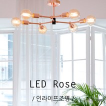 인라이프조명 로제 6등 (직부)거실등 인테리어조명 조명 전구별매