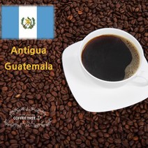 커피트리쥔장 과테말라 안티구아 원두커피 홀빈 200g 500g, 프렌치프레소