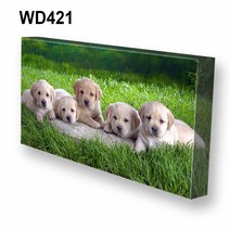몽차 와이드 캔버스액자, WD421