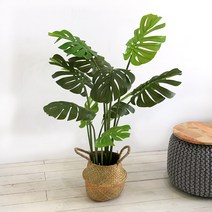 조아트 인조나무 조화나무 극락조 아레카야자 몬스테라 알로카시아 9종, 몬스테라 120cm, 1개