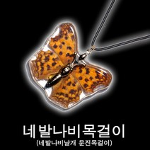 나비표본목걸이/네발나비표본악세사리/곤충목걸이