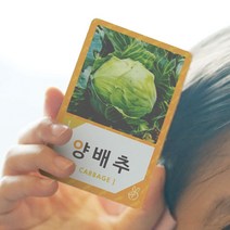 이게뭐지 옹알이 한글 낱말카드, NFC한글학습카드(채소/20p)