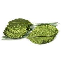 나뭇잎모양커피스틱 싸고 저렴하게 사는 방법