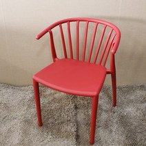 데코룸 지오체어 플라스틱체어 디자인체어(컬러4종) 마스터체어 의자, 지오체어(레드)
