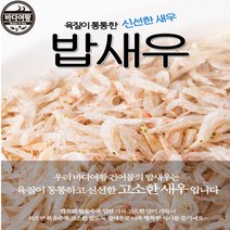 바다여왕 건새우모음, 1개, 국산밥새우500g