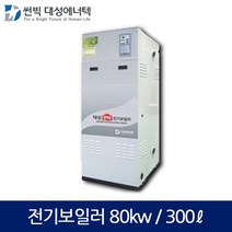 대성 산업용 축열식 전기보일러(80kw/300L) DBE-80