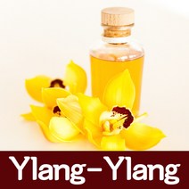 오마르 향오일 100ml 석고방향제 슬라임 향료, 일랑일랑