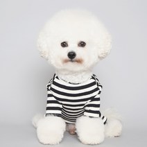 바이담수미 강아지옷 하트 골지 올인원 애견옷, 블랙