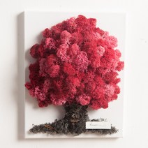 스칸디아트리액자set 30cmP 스칸디아모스 천연이끼 FMFUFT, 핑크