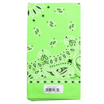 탑퍼포먼스 페이즐리 애완용 반다나, Neon Green, 1개