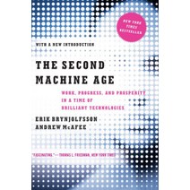 The Second Machine Age: Work Progress and Prosperity in a Time of Brilliant Technologies, W W Norton & Co Inc