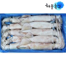 해물총각 냉동 오징어 1박스, 약3kg내외