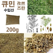 즈란 큐민, 200g, 1봉, 1개