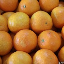 제주귤사랑 황금향 가정용, 1box, 가정용 5kg