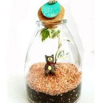 자연소년 New 테라리움6종류, B야옹골든지트