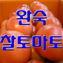 과일몰 고당도 완숙 찰 토마토 5kg 10kg 대용량, 1box, 정품 중과 5kg
