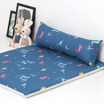 찬미디자인 1인 특가형 롱쿠션+대방석세트 (평일12시까지당일발송), 쥬라기공원 블루