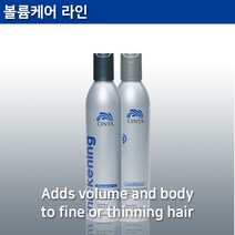 신타 씨크닝 가늘고 약한 모발용 샴푸, 1개, 250ml