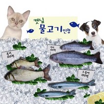 컴패니언 캣닢 물고기 봉제 인형 L, 연어, 연어