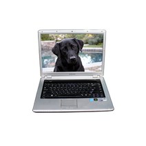삼성 LG HP 삼보 DELL 레노버 중고노트북 모음 겨울 초특가 판매, 삼성센스R60/R510/P510, 코어2 듀오, 2MB, Free DOS