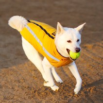 바드소 대형견 패딩 워머, 노랑