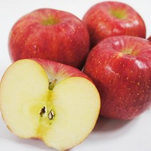 (인빌푸드)소백산 꼬꼬마사과(부사) 10kg(51-55과), 단품
