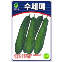 수세미씨앗 30립, 1개