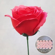 블랙앤화이트 비누꽃 왕장미 25개입 꽃다발 꽃바구니 다이 DIY 재료, 레드+잎사귀꽃대