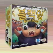 블랙쉽 최신한글판 보드게임
