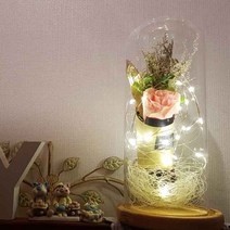 유리돔 Led 무드등 장미 글라스돔장미, 핑크(선물용용기미포함)