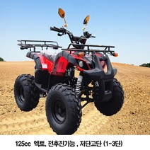 솔바이크 125cc ATV 뉴엑토 사륜바이크 4륜오토바이, 빨강색