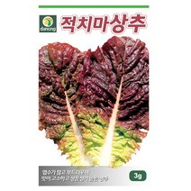 갑조네 잎줄기채소 씨앗 모음, 적치마상추(씨앗), 1개