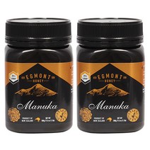 [에그몬트] 마누카 꿀 UMF20  500g 2개